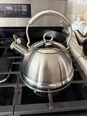 Stainless Steel Whistling Tea Kettle - Brushed Silver